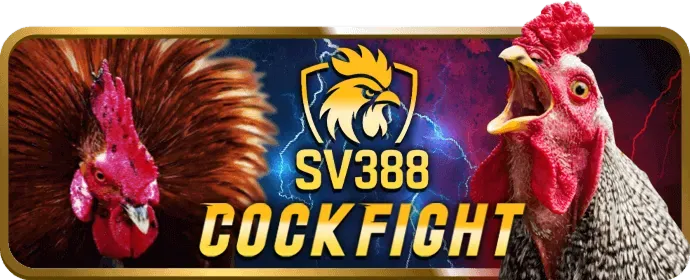 Thông tin thu thập và bảo mật tại 788bet